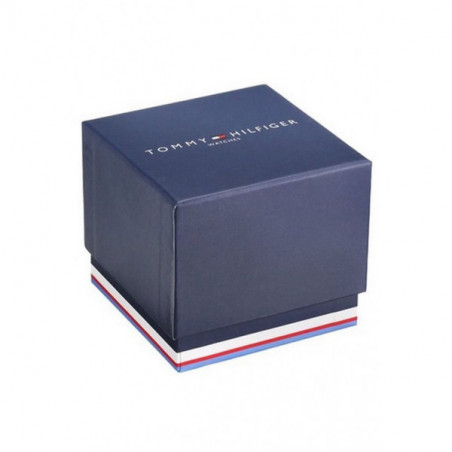 Montre TOMMY HILFIGER Homme "Chase"